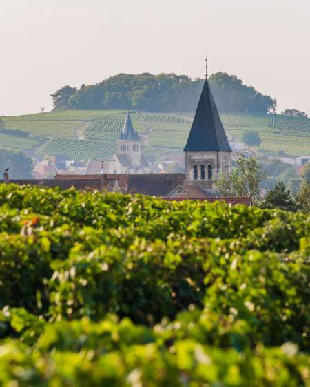 → Novotel Reims Tinqueux · Hôtel 4 étoiles Reims